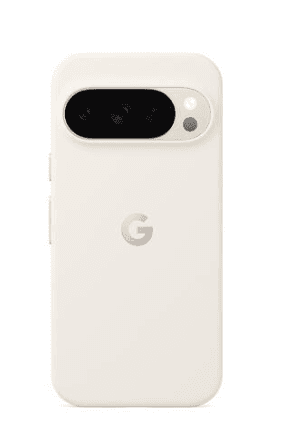 Google pixel 10/10 pro case porcelain