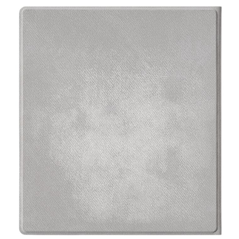Boox magnetic case cover grey
